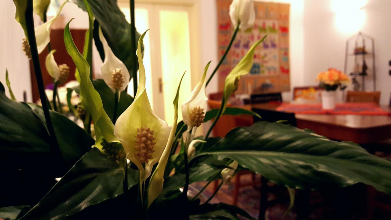 Bed and Breakfast Attico Barocco Лечче Экстерьер фото